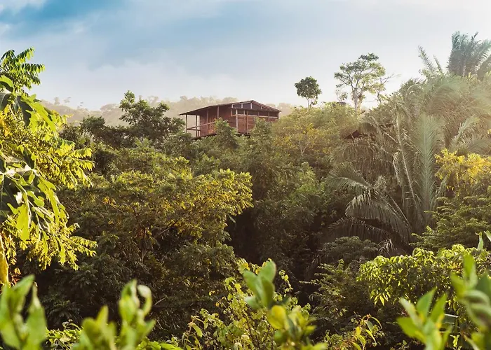 La Casita Del Bosque