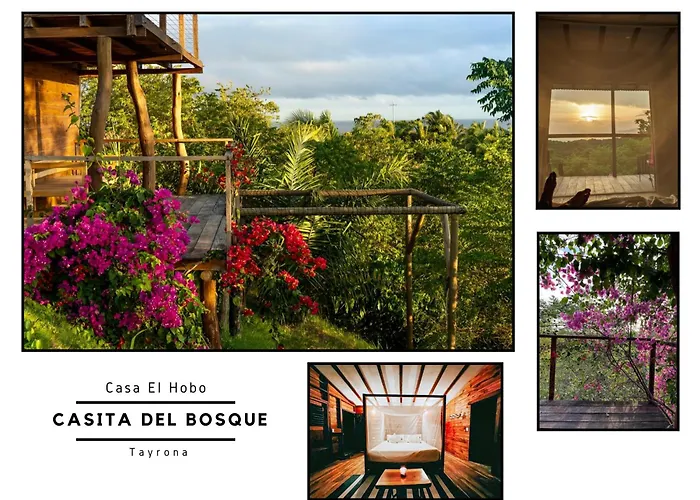 La Casita Del Bosque
