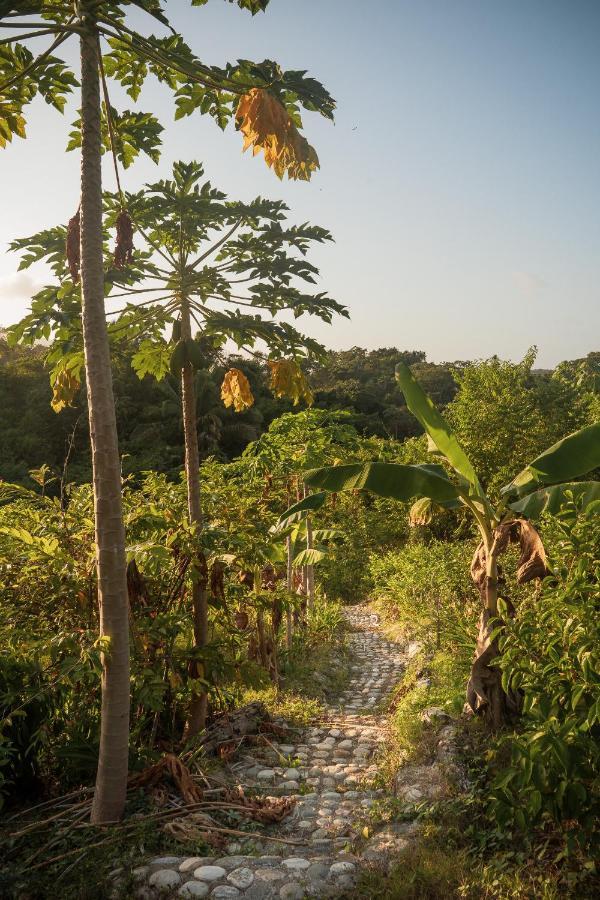 La Casita Del Bosque Lodge Santa Marta (Magdalena)
