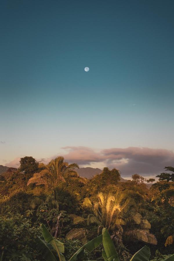 La Casita Del Bosque Lodge *