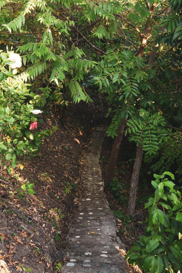 La Casita Del Bosque Lodge