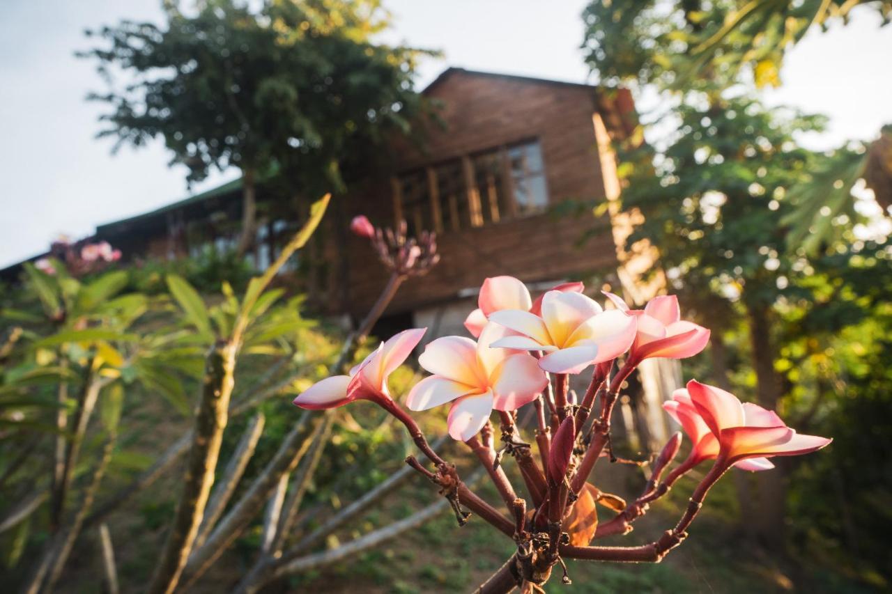 La Casita Del Bosque Lodge