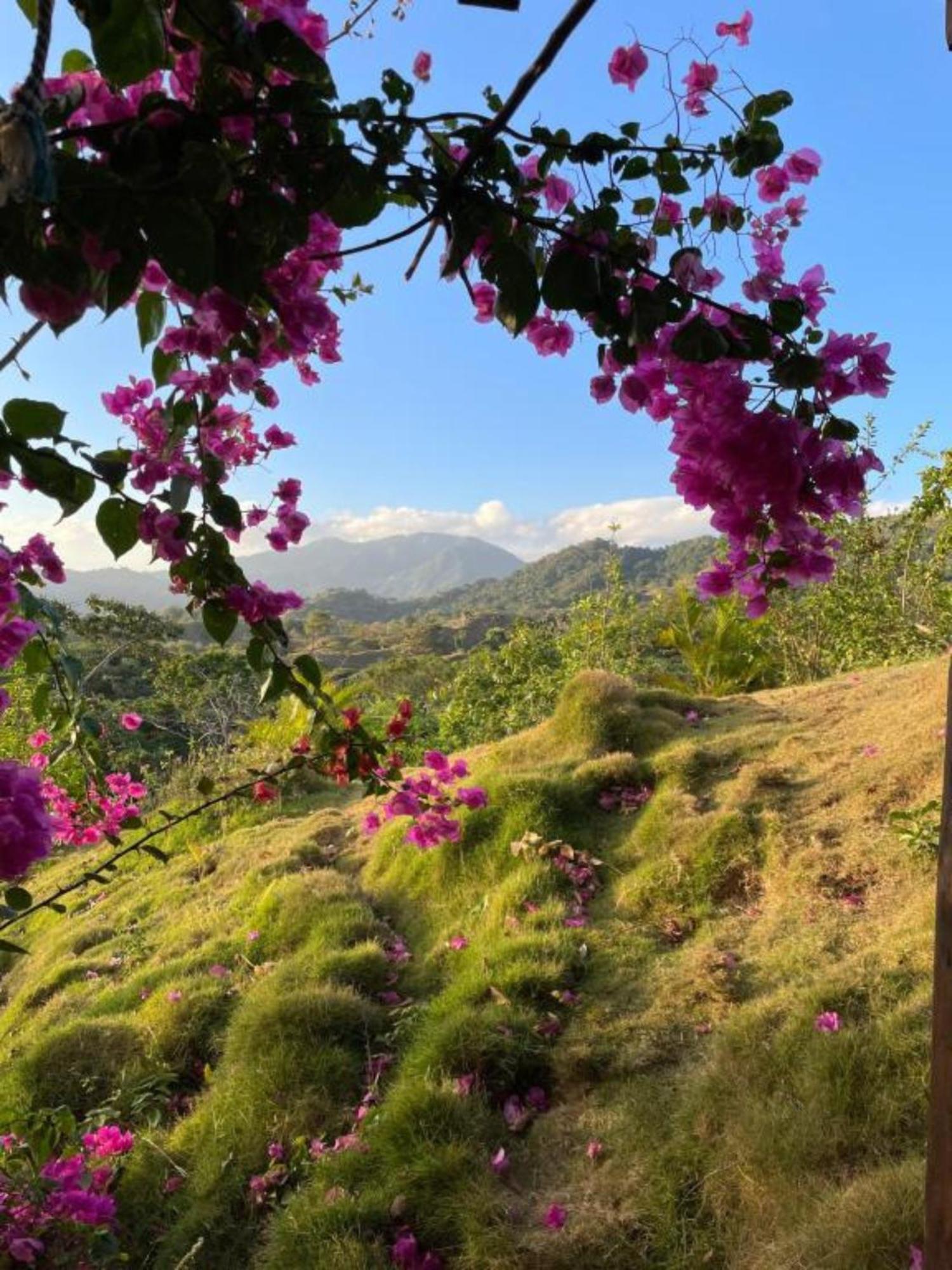La Casita Del Bosque * Santa Marta (Magdalena)