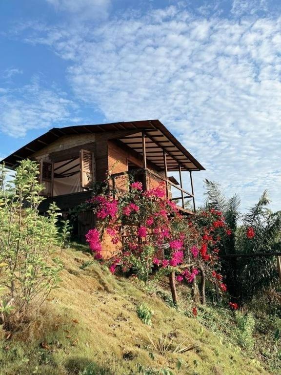 La Casita Del Bosque Santa Marta (Magdalena)