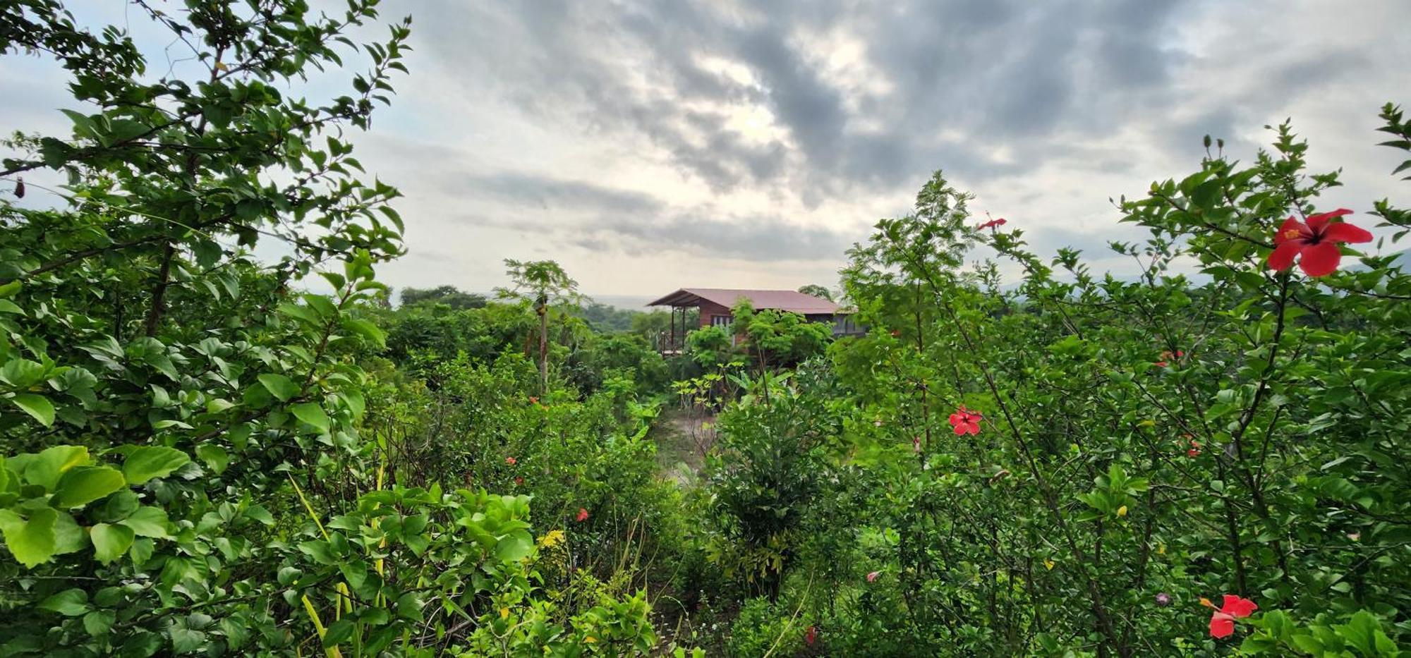 Lodge La Casita Del Bosque Santa Marta (Magdalena)