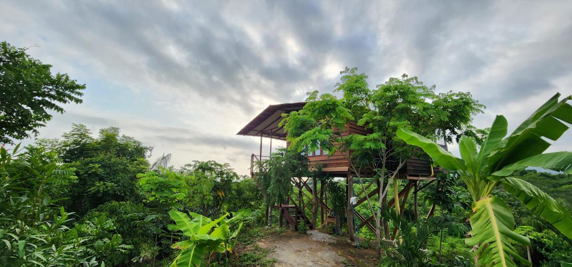 La Casita Del Bosque Lodge